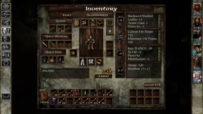 Icewind Dale Ekran Görüntüleri
