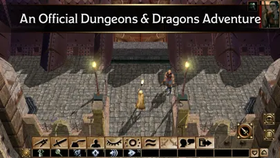 Ảnh chụp màn hình của Neverwinter Nights