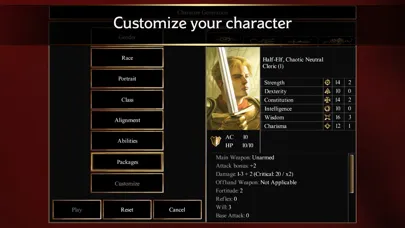 Ảnh chụp màn hình của Neverwinter Nights