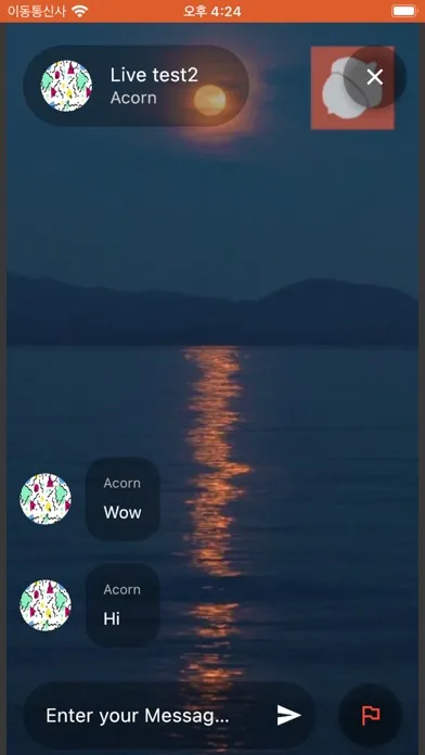Capturas de tela do Acorn Live