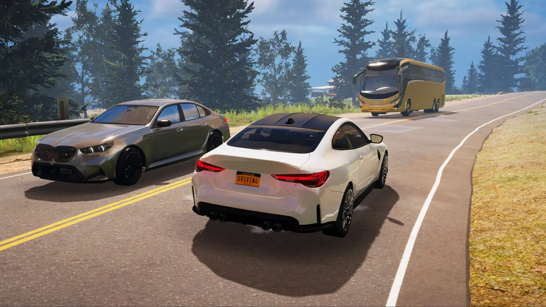 Driving School Simulator : EVO应用截图