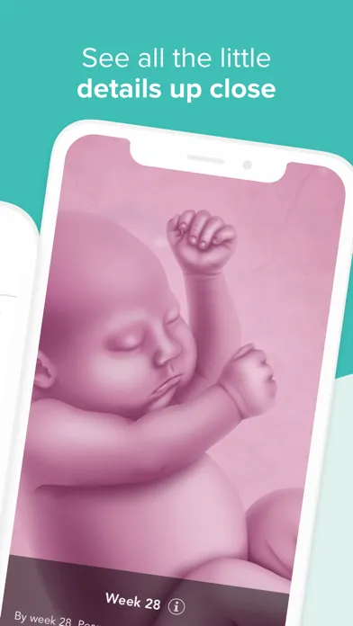 Screenshot di Ovia Pregnancy & Baby Tracker