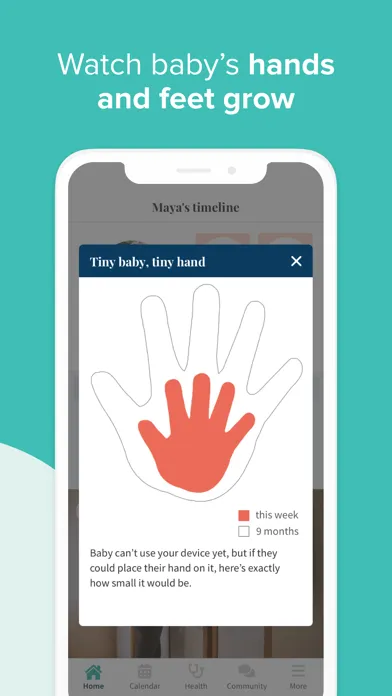 Screenshot di Ovia Pregnancy & Baby Tracker