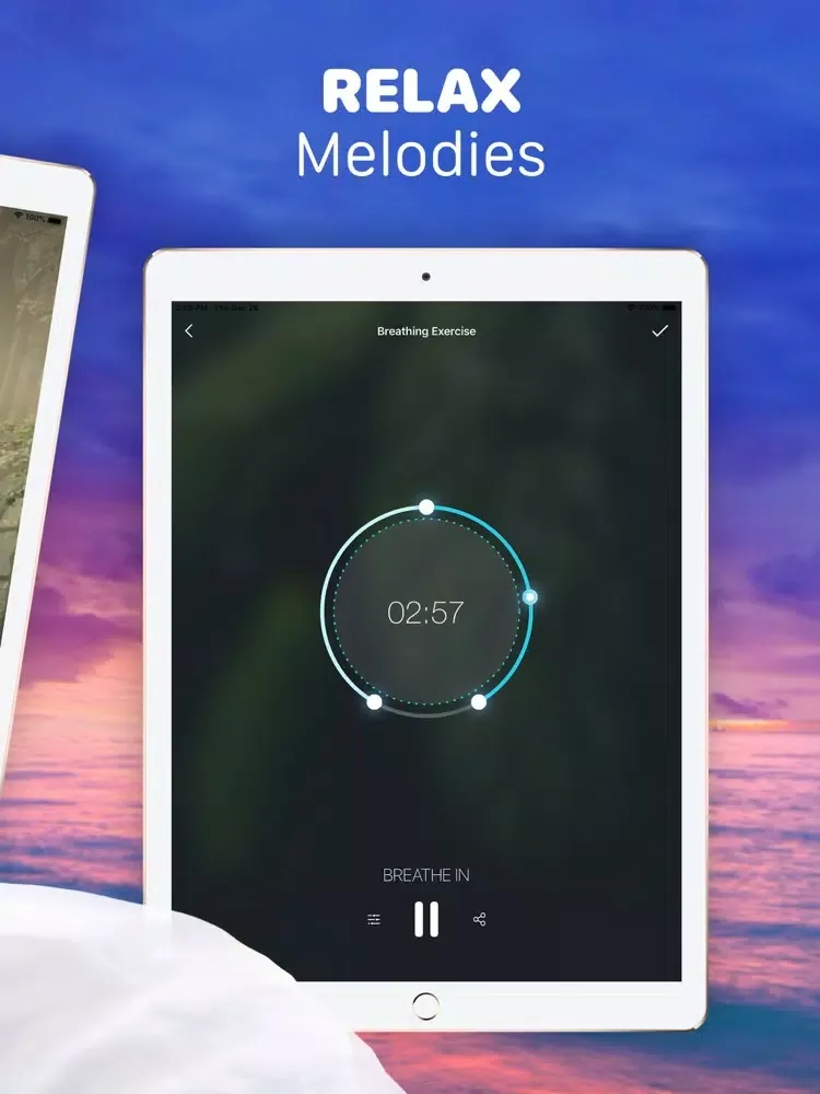 Скриншоты Help Me Sleep Peaceful Sounds iPad 