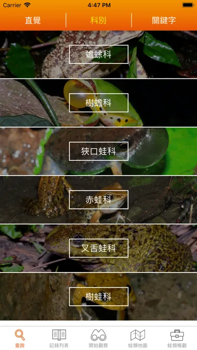 تصاویر 台灣蛙類圖鑑