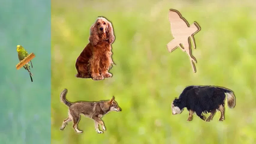 Zrzuty ekranu Puzzle Game Animals for Kids