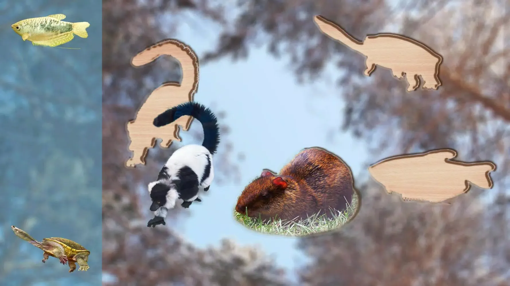 Zrzuty ekranu Puzzle Game Animals for Kids