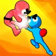 Kungfu Ragdoll