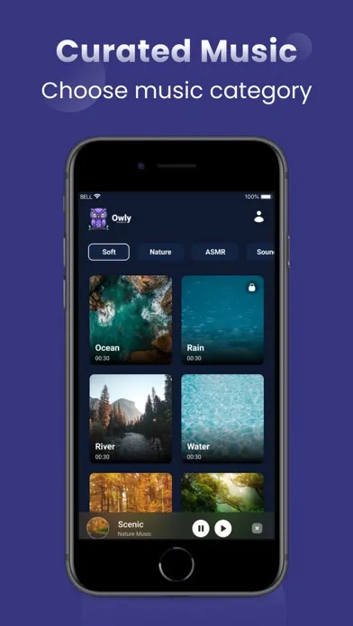 Owly Sleep Music应用截图