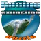 Puzzle Racing Extinction