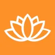 Photo Organizer App Photo Organizer App
