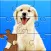 Jigsaw Puzzles