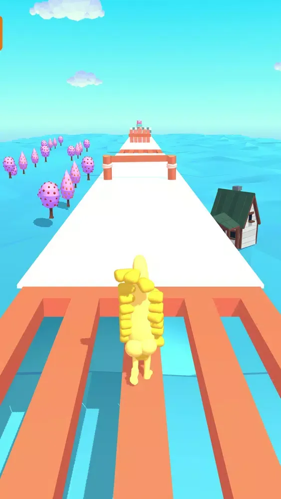 تصاویر Corn Runner