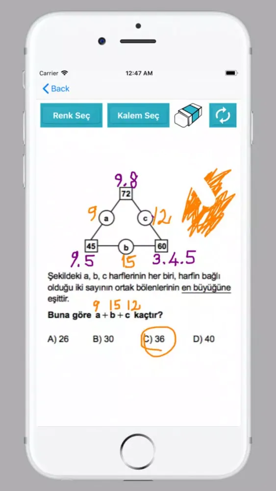LGS Cepte: İlk Adım应用截图