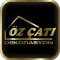 Öz Çatı Dekorasyon