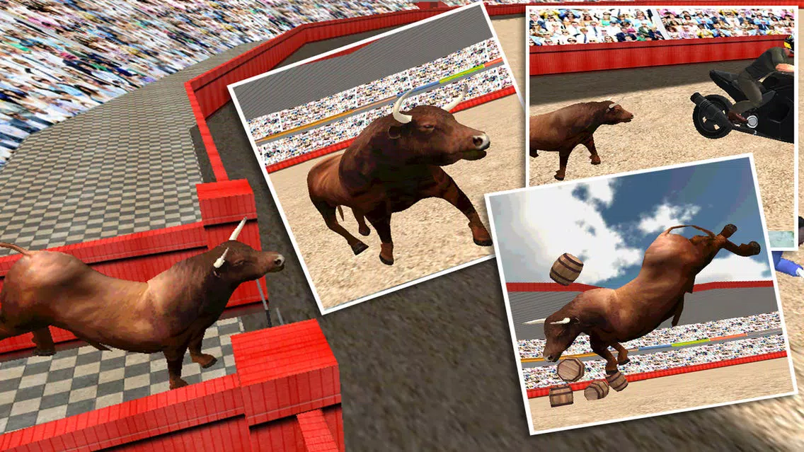 Angry Bull Fighter Simulator 3D स्क्रीनशॉट