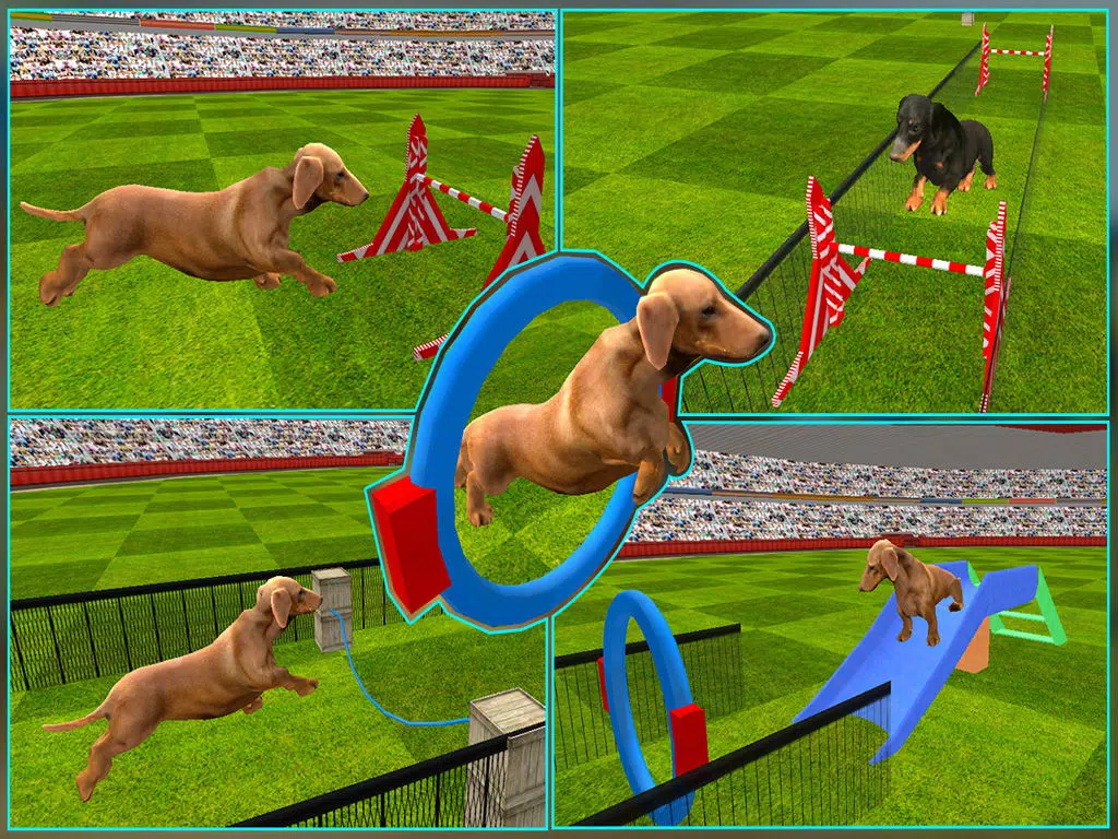 Dog Show Simulator 3D: Train puppies & perform amazing stunts iPad  سکرین شاٹس
