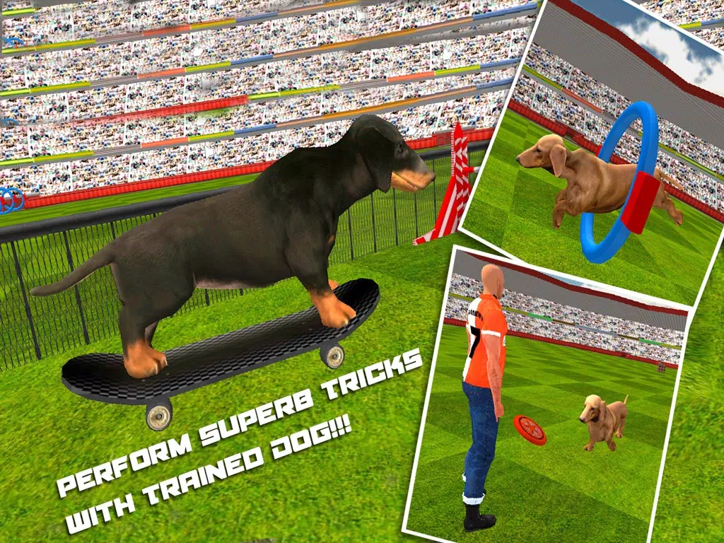 Dog Show Simulator 3D: Train puppies & perform amazing stunts iPad  سکرین شاٹس