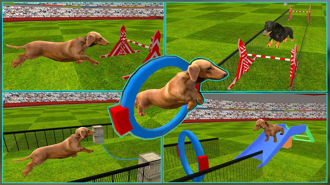 Dog Show Simulator 3D: Train puppies & perform amazing stunts سکرین شاٹس