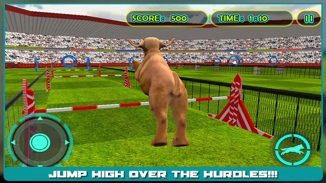 Dog Show Simulator 3D: Train puppies & perform amazing stunts سکرین شاٹس