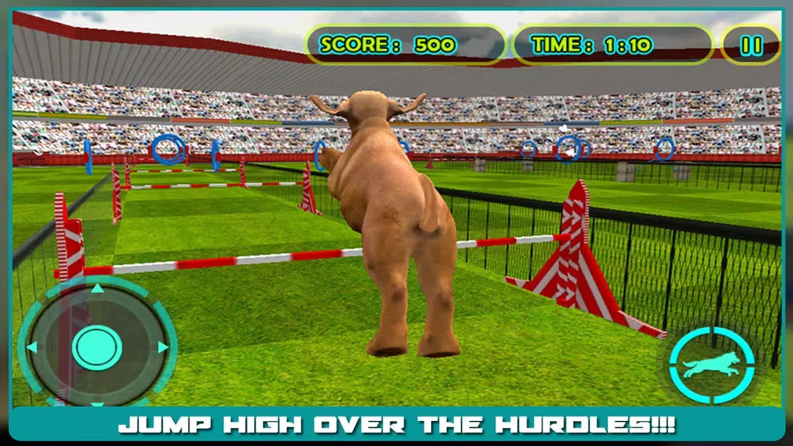 Dog Show Simulator 3D: Train puppies & perform amazing stunts 스크린샷