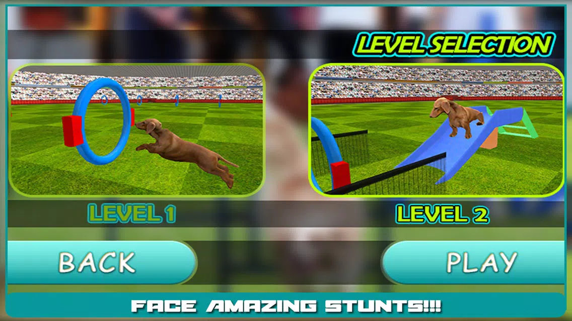 Dog Show Simulator 3D: Train puppies & perform amazing stunts سکرین شاٹس