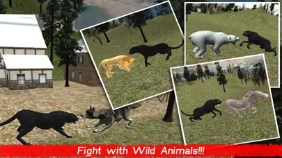 Wild Black Panther Attack Simulator 3D – Hunt the Zebra, Deer & Other Animal in Wildlife Safari应用截图