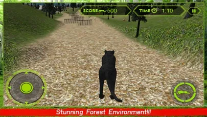 Wild Black Panther Attack Simulator 3D – Hunt the Zebra, Deer & Other Animal in Wildlife Safari应用截图