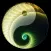 YinYang University