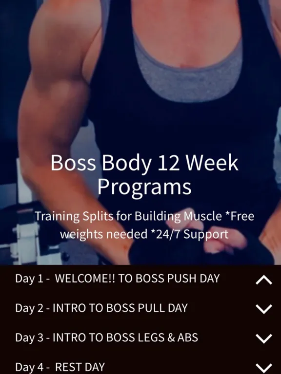 Screenshot di BICEP BOSS iPad 