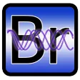 Personal Biorhythms Calculator