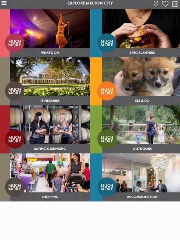 Melton City Much More iPad  سکرین شاٹس