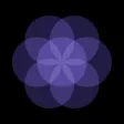 Paced Breathing Exercises App