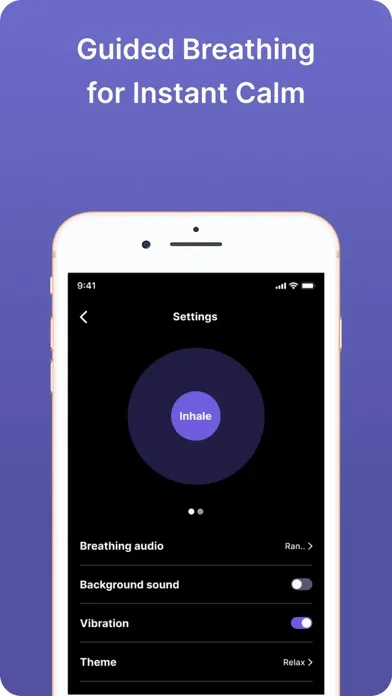 Paced Breathing Exercises App 스크린샷