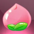 Connect Fruit
