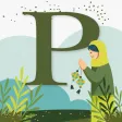 Padini