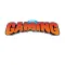 110% Gaming