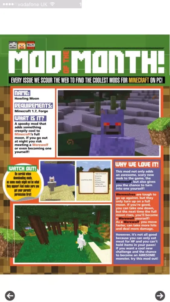 Screenshot di 110% Gaming