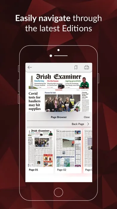 Tangkapan skrin Irish Examiner ePaper
