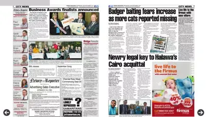 Screenshot di Newry Reporter