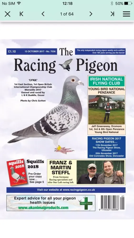 Captures d'écran de The Racing Pigeon