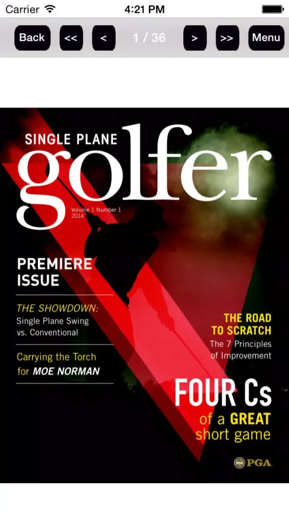 Single Plane Golfer स्क्रीनशॉट