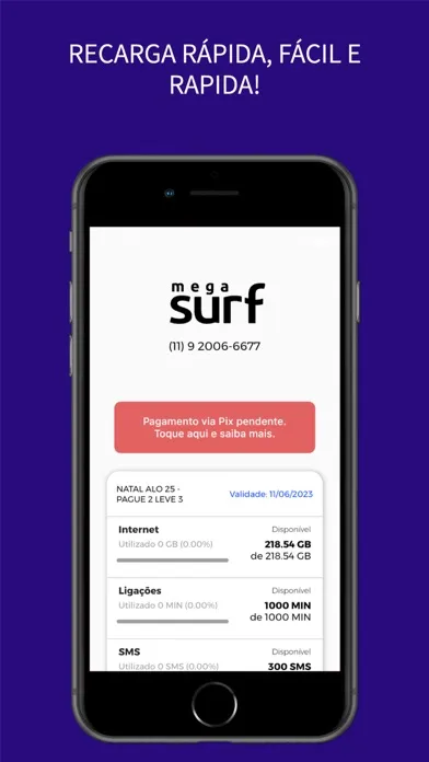 Mega Surf應用截圖