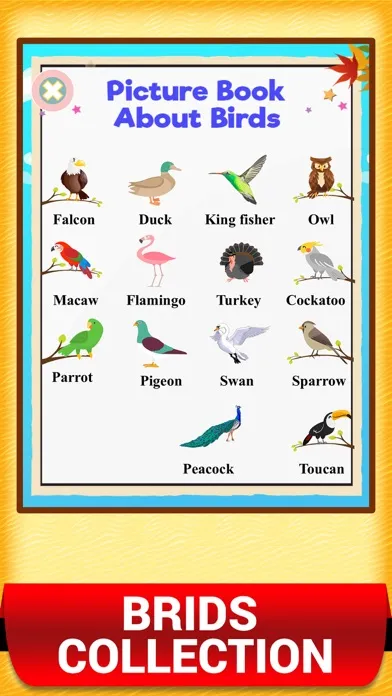 Ảnh chụp màn hình của Kids Picture Dictionary Book