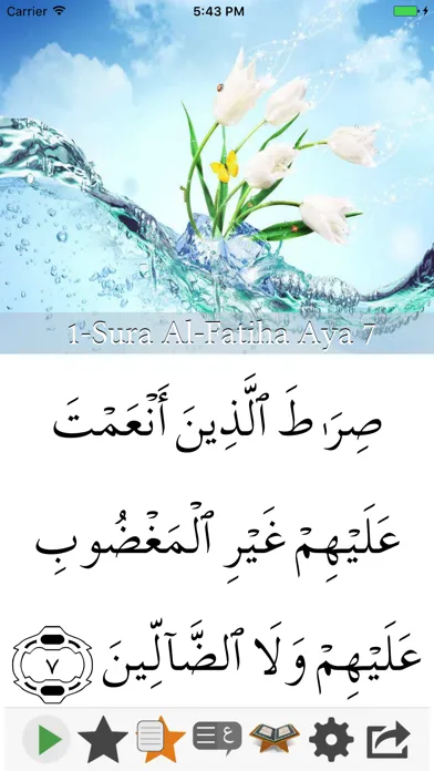 Capturas de tela do Visual Quran