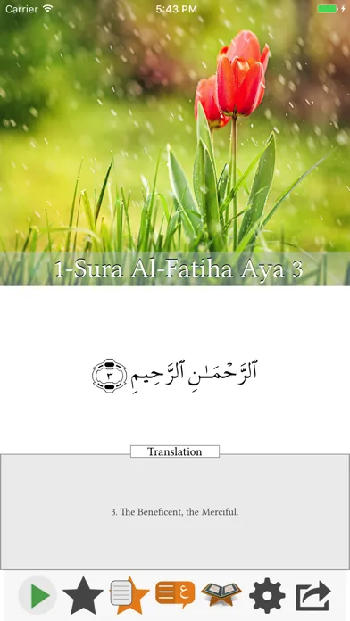 Capturas de tela do Visual Quran