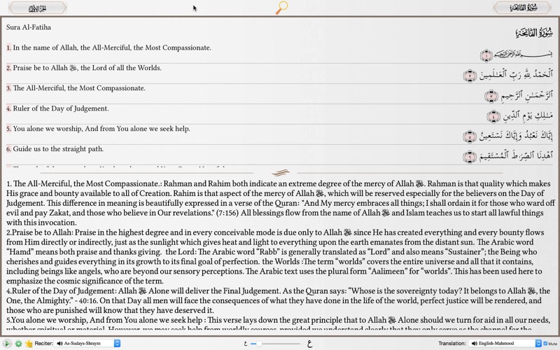 Tangkapan skrin Quran Commentary — English