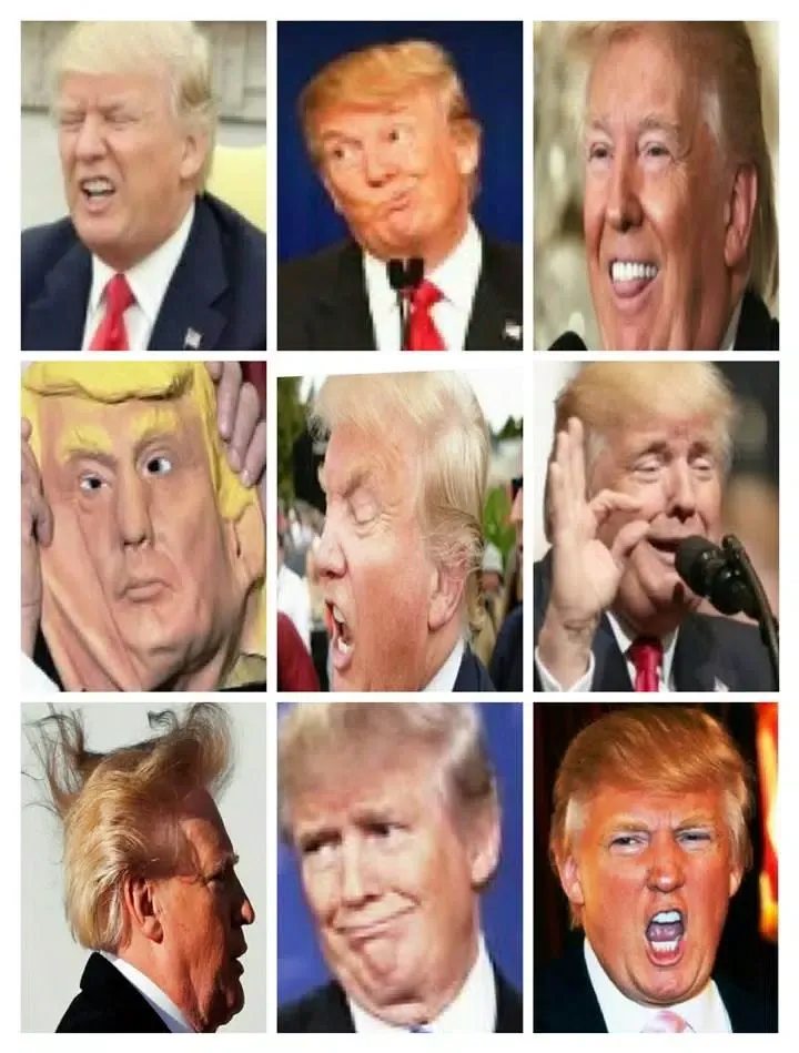 Donald Trump Funny Pics應用截圖