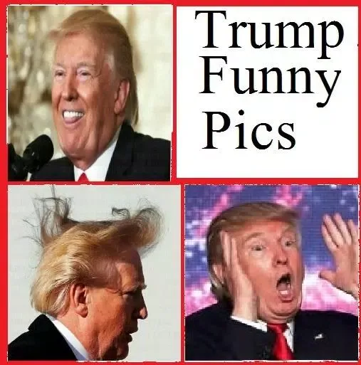Donald Trump Funny Pics應用截圖