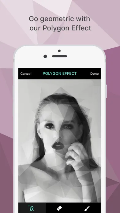 Captures d'écran de Polygon Effect - Create Low Poly Portraits and Geometric Art